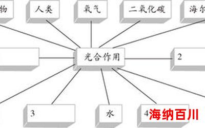 光合作用的实质最新章节 - 全文阅读